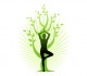 Carmen Spa & Yoga 0