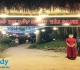 Bò Tơ Tây Ninh Tài Sanh 1