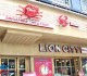 Lion City 1