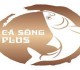 Cá Sông Pluss - Dining Campaign 0
