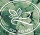 Eco Lily Spa 0