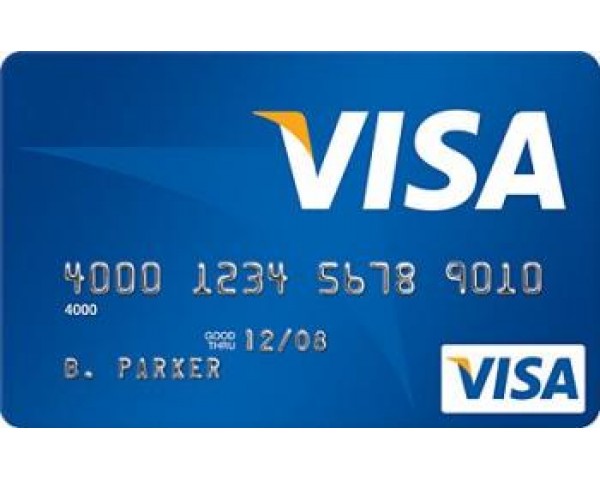 Visa Credit card