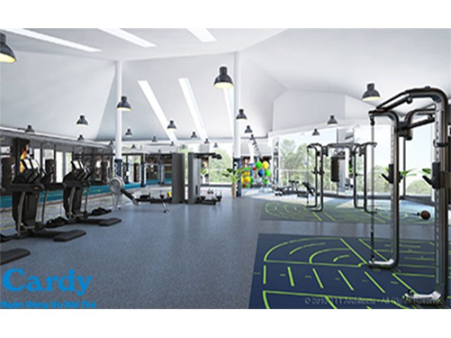 Teekiu Sport & Fitness