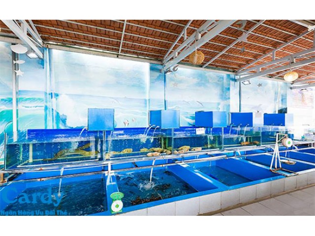 NHÀ HÀNG HẢI SẢN TƯ BÌNH