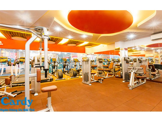 VShape Gym