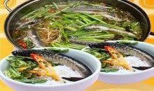 LẨU CÁ KÈO - MƯA RỪNG