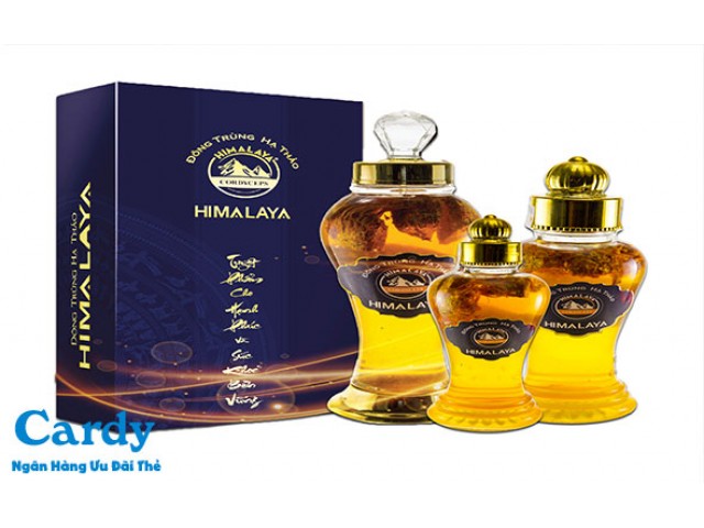 Green Cordyceps Himalaya