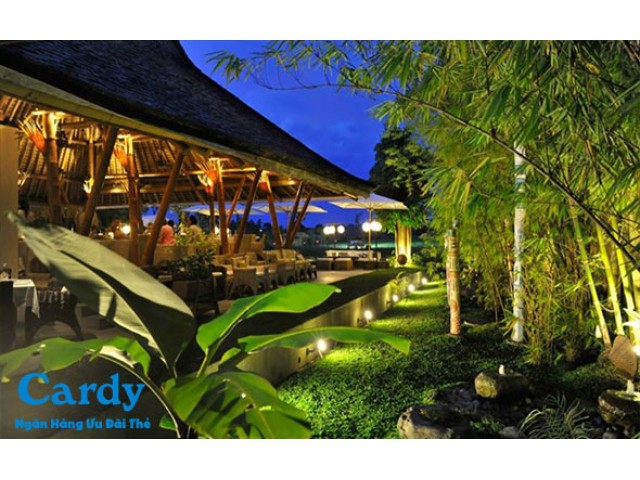 Rice Field - Homecooked