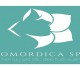 Momordica Spa 0
